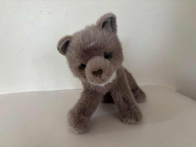 Douglas Kneadie Cat Plush 1921 UPC #767548159712