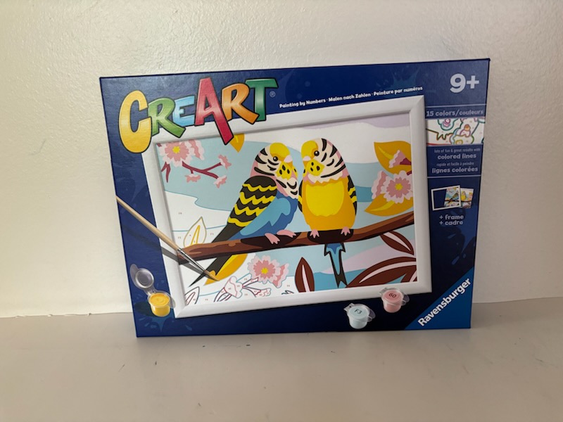 Ravensburger CreArt Painting by Numbers Lovely Budgies UPC #4005556259397