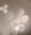 Clover / AM-06 (Bronze)