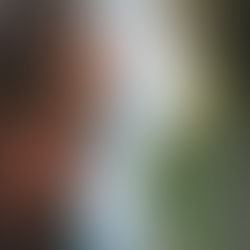 Confronting Ambiguity