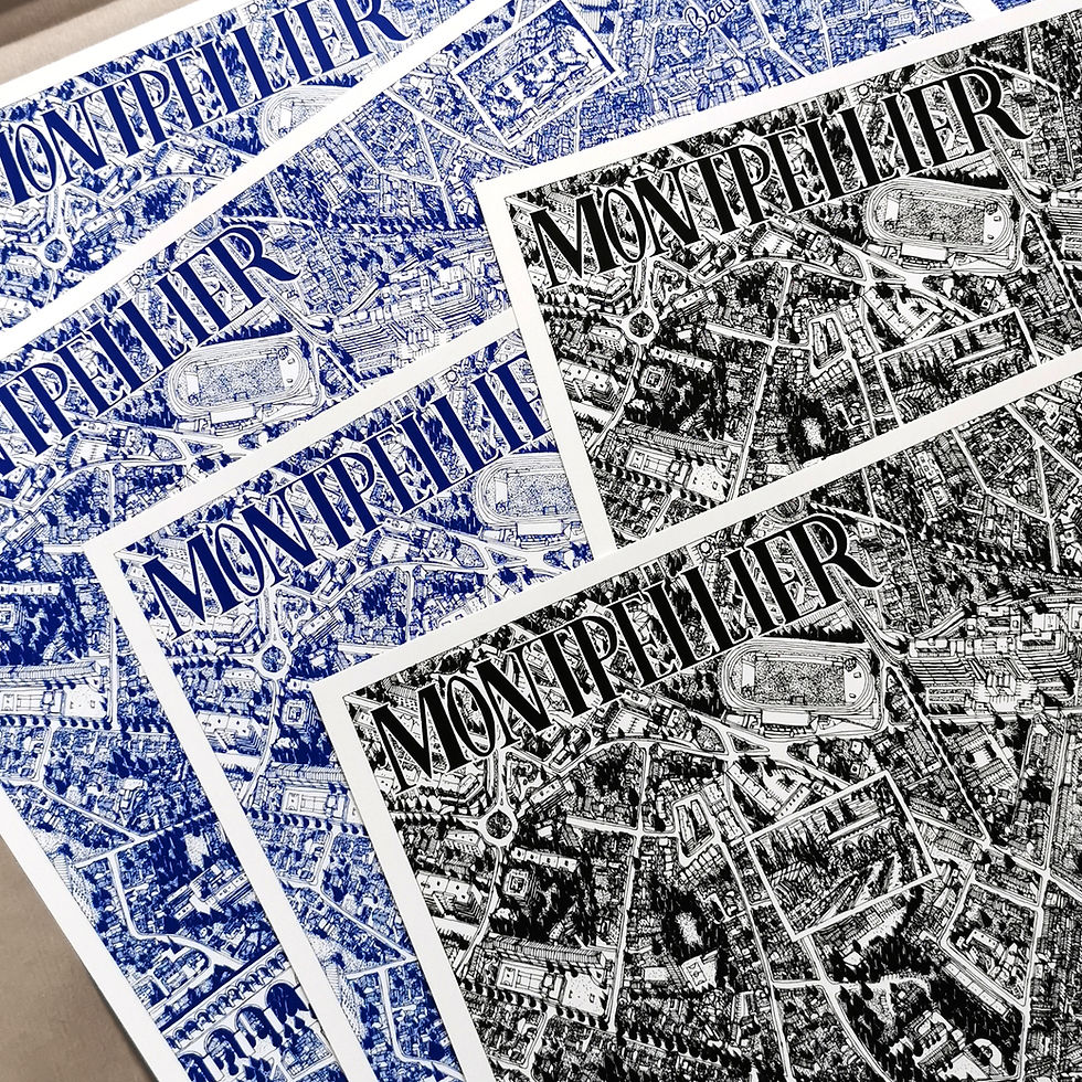 Miniature : Montpellier sérigraphie 50x50 zoom