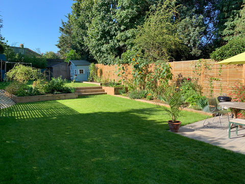 Open lawn with patio seating and mature planting in contemporary rear garden.
