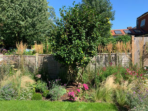 Border Ideas for Garden Spaces