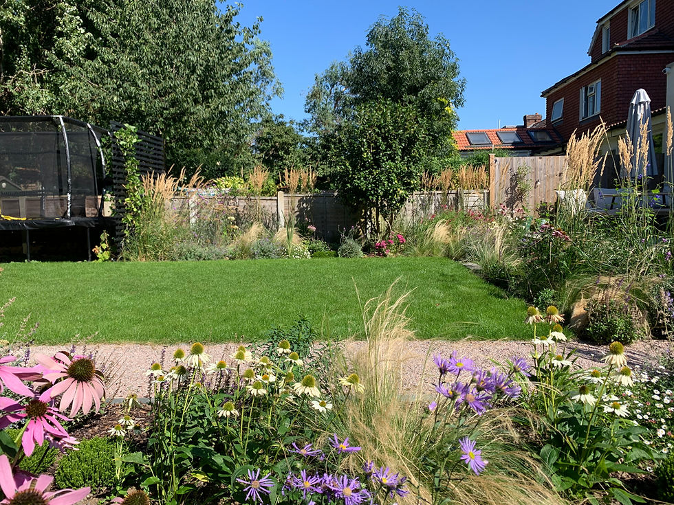 pollinator-friendly garden border