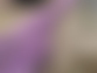 クリーピングタイム 満開です!