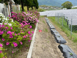 新型コロナウイルスの影響・・・