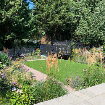 Planting border with Echinacea and grasses beside family lawn.
