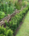 Hedge Planting