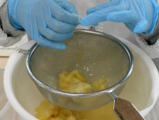 就労継続支援B型事業 あこーる ゆず加工の紹介