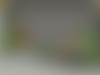 Budget Small Garden Ideas