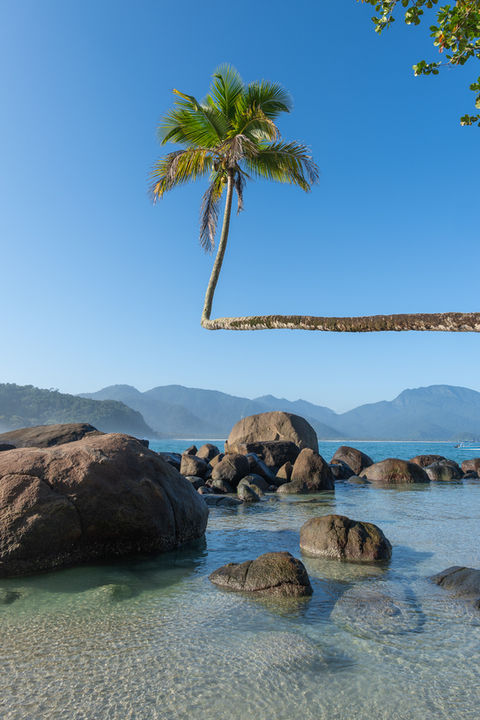 Fotografia de paisagem com coqueiro da praia de aventureiro de ilha grande em silhueta ao pôr do sol, mar calmo entre pedras e montanhas
