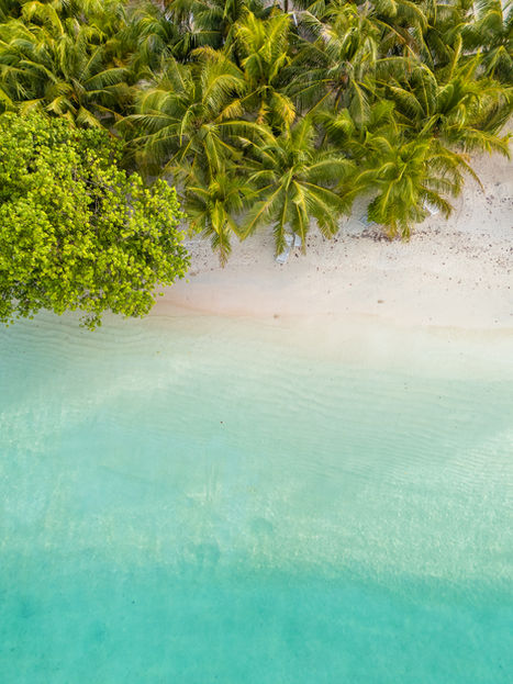 Vista aérea drone sobre o mar turquesa com vegetação de coqueiros nas Maldivas.