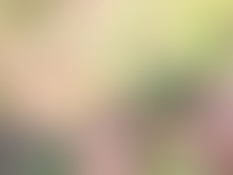 Welches ist das beste Düngemittelverhältnis für Cannabispflanzen?