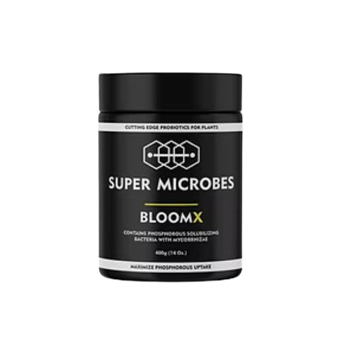 Bloomx