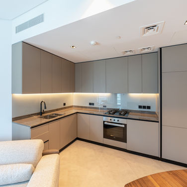 Apartment Renovation image 12