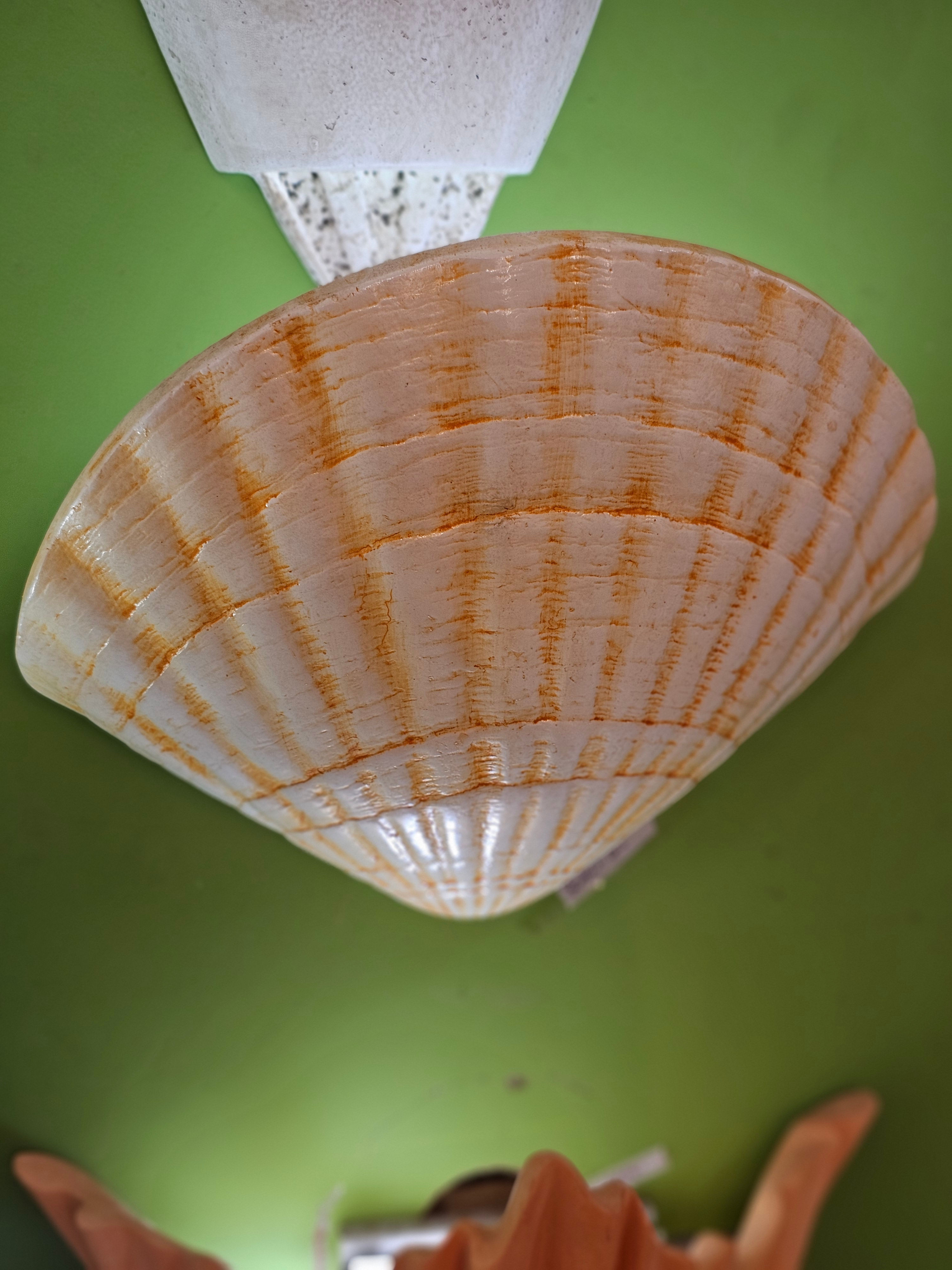 HYDROCAL STONE W/LAMP HOLDER-51121W-1DHR (51121W-1DHR)