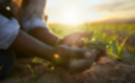 AdobeStock_605988981.jpeg