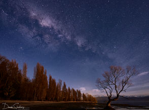 Moonlight Harmony