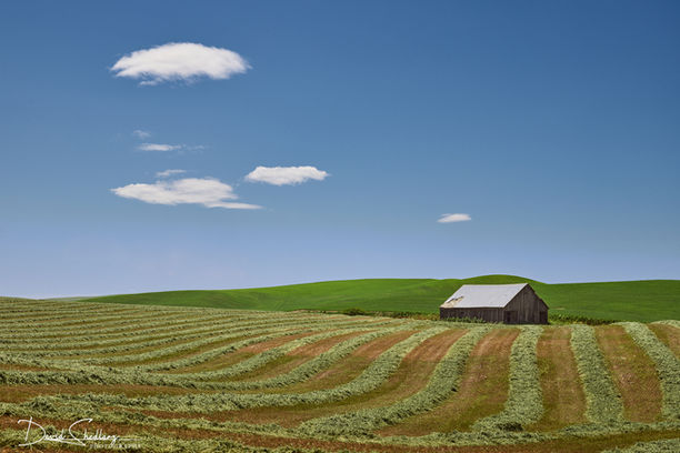 Harvest Barn