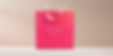 Art Luxury Paper Bags with PP and Ribbon Handles