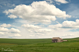 Stoic Homestead