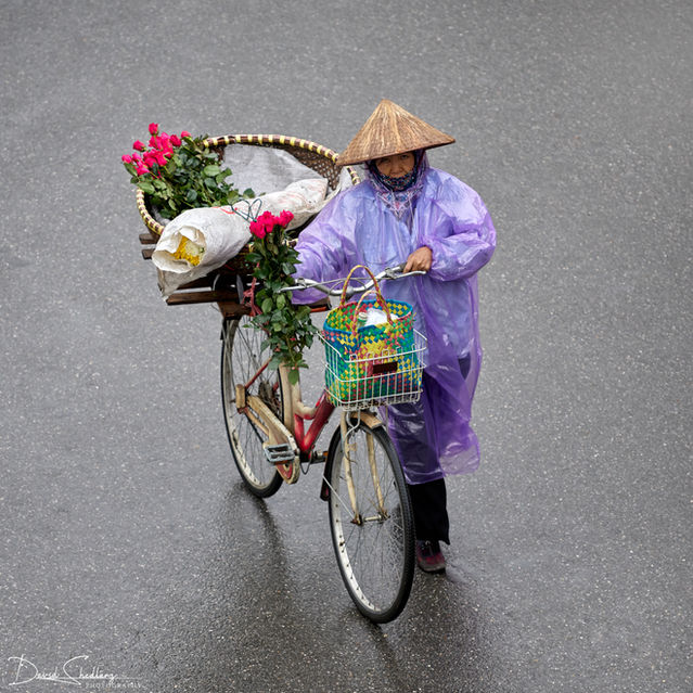 Flower Bike