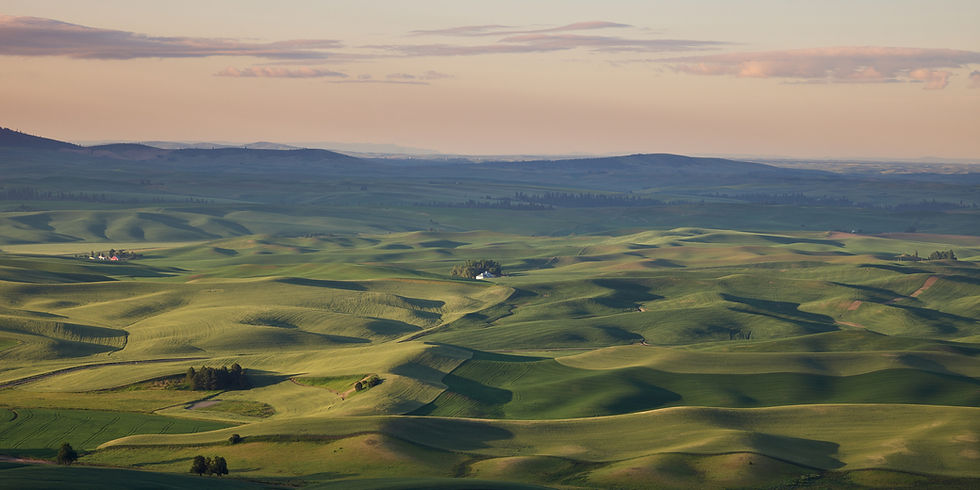 The Palouse 2023