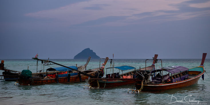 Longtail Fleet