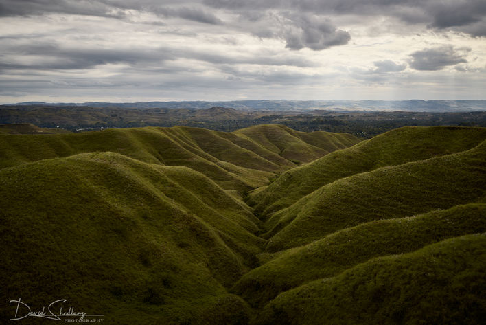 The Shape of the Land