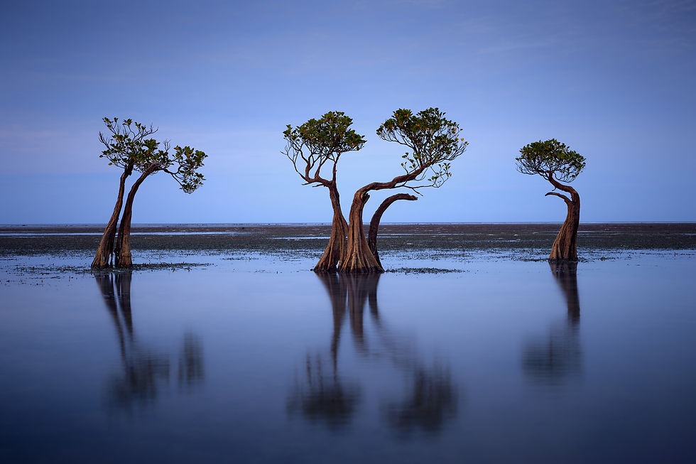 Sumba Island