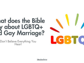 موقف الكتاب من الشواذ LGBTQ