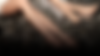 sunrise forgives- main.png