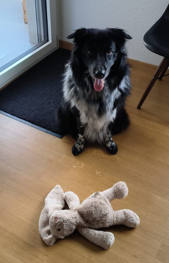 Elli mit ihrem Spielzeug