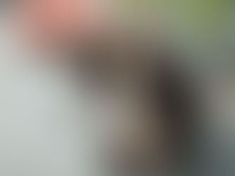 Längere Katzenbetreuung