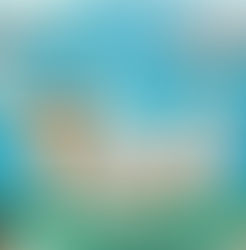 The Art and Soul of 30a