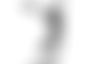 CALORIES, SCALE WEIGHT AND FAT LOSS