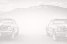 Mustang background for the website 26.04.22.png