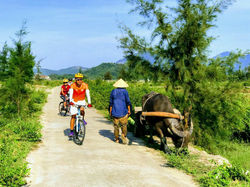 峴港旅遊活動中心