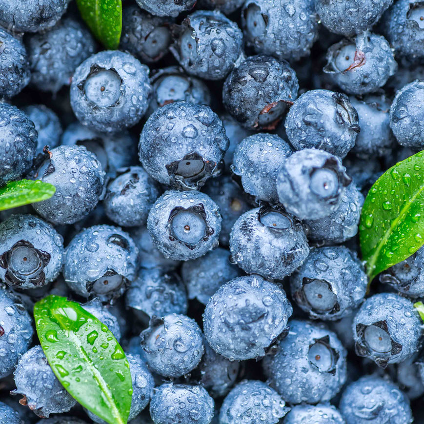 A profusion of blueberries with two green blueberry leaves.