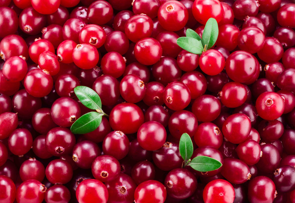 A profusion of bright red cranberries.