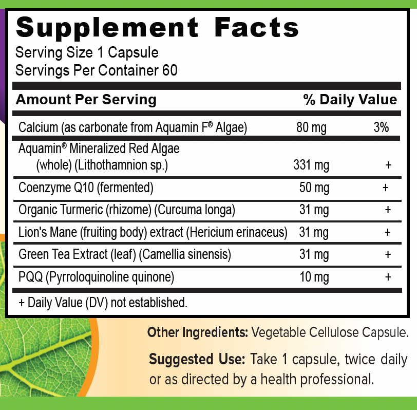 Supplement Facts from label panel.