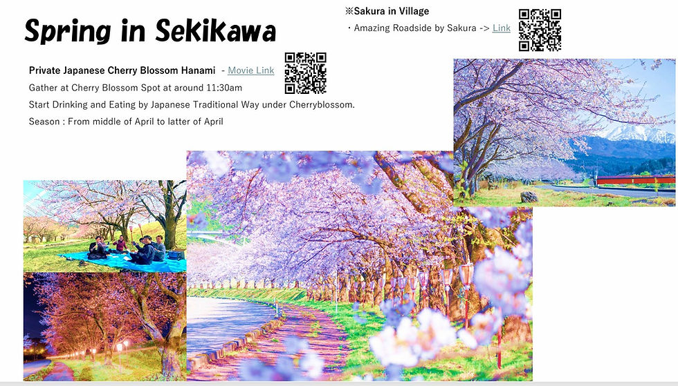 Hanami Spring.jpg