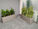 Fiberglass planters with ZZ and Snake plants in low light