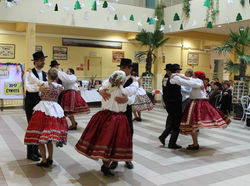 16665947_686260428228246_4197606274803367938_o