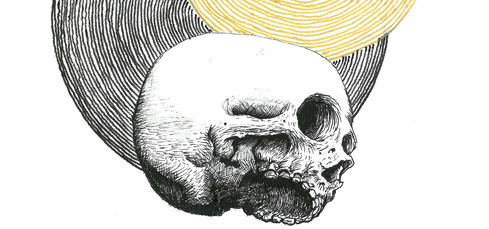 Skull&Gold