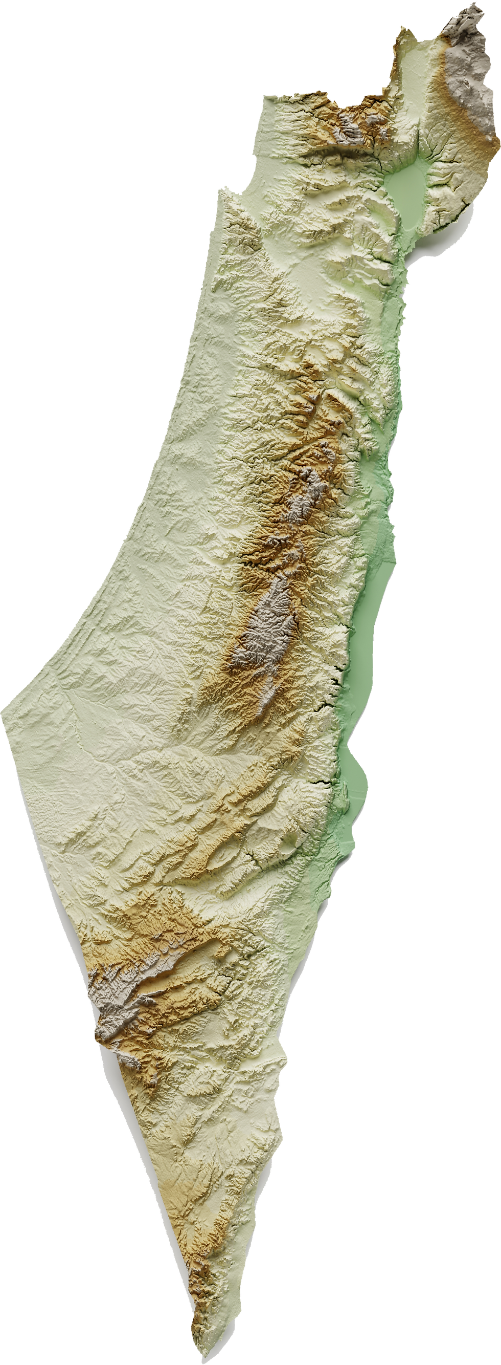 iStock-1453473783 TRANSPARRENT.png