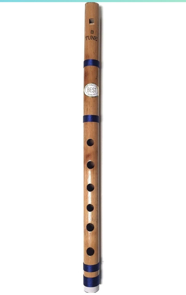 eRadius Flûte Bansuri indienne en bambou pour débutants et professionnels Flûte 