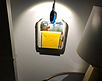 IMG_5873 web.jpg