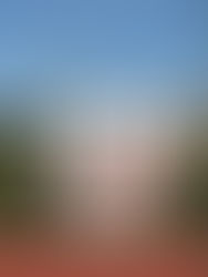 Provinciaal kampioenschap atletiek