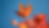 red%20maple%20leaf_edited.png